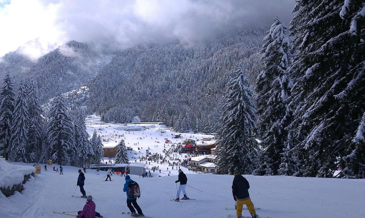 Aspen Studio Mountain Retreat At Aspen Resort Golf Ski & Spa Razlog Buitenkant foto